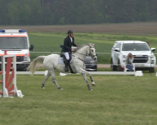 Reitturnier Wehnsdorf 2025