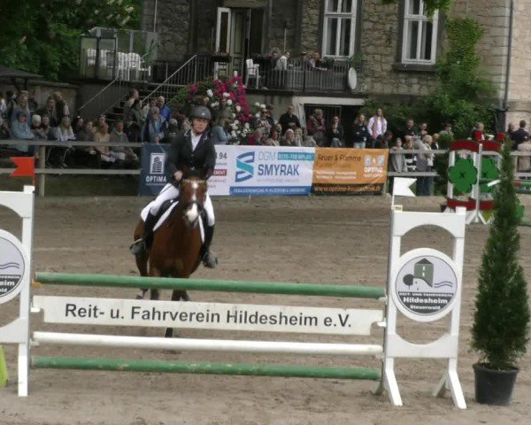 Reitturnier Hildesheim-Steuerwald 2025