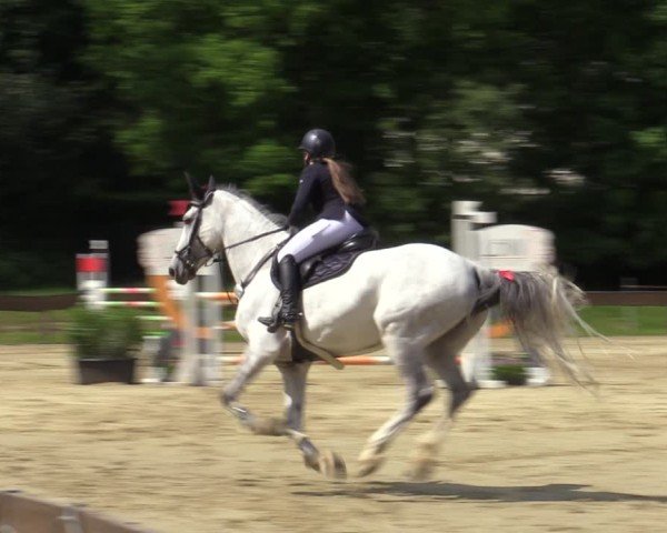 Reitturnier Wesel-Obrighoven 2025