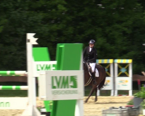 Reitturnier Wesel-Obrighoven 2025