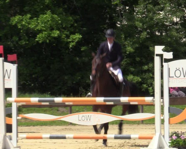 Reitturnier Wesel-Obrighoven 2025
