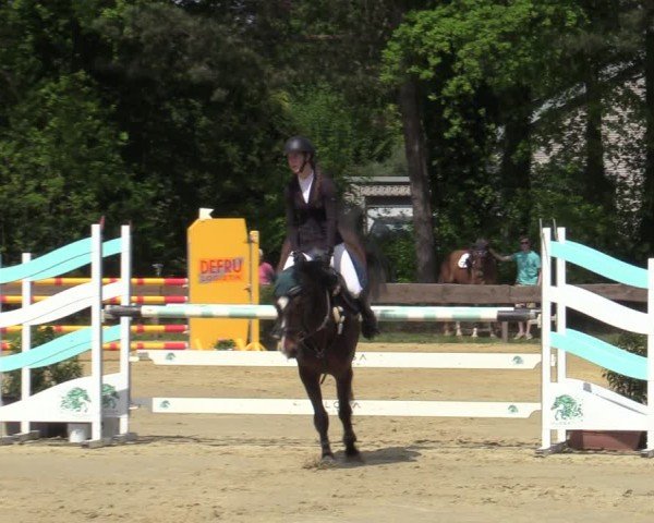 Reitturnier Wesel-Obrighoven 2025