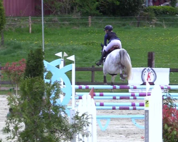 Reitturnier Looperholz 2025