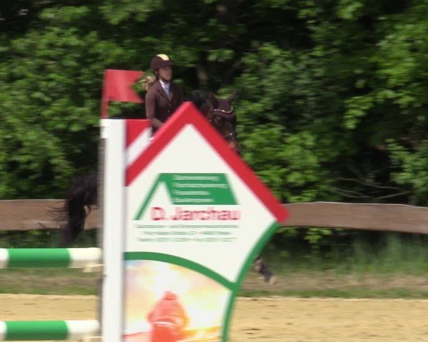 Reitturnier Wesel-Obrighoven 2025