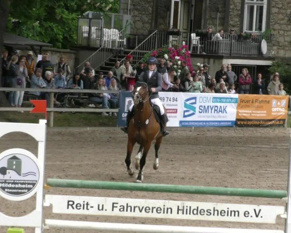 Reitturnier Hildesheim-Steuerwald 2025