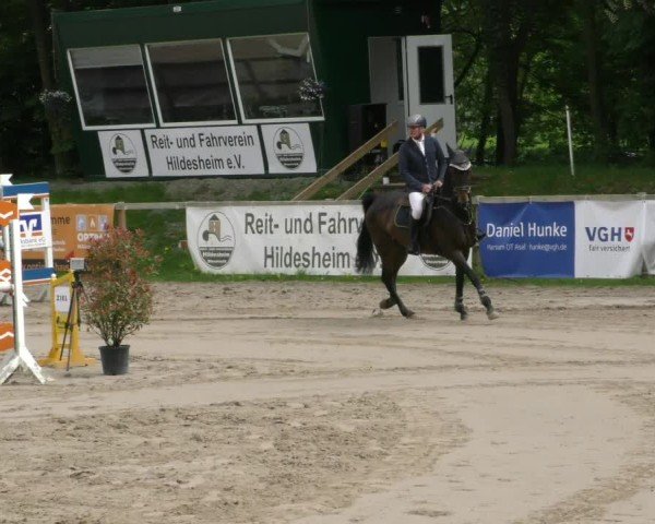 Reitturnier Hildesheim-Steuerwald 2025