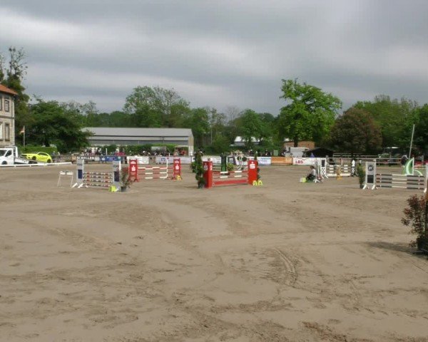 Reitturnier Hildesheim-Steuerwald 2025