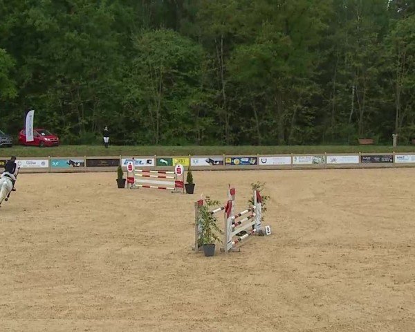 Reitturnier Tiefenhof/Opf. 2025