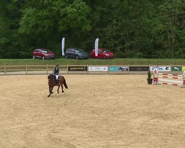 Reitturnier Tiefenhof/Opf. 2025