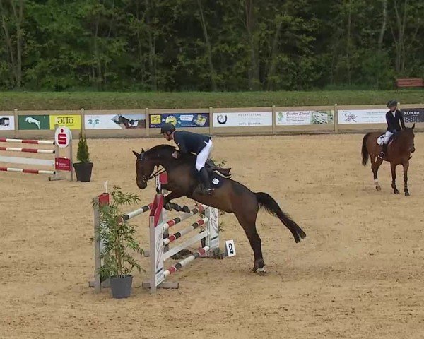 Reitturnier Tiefenhof/Opf. 2025