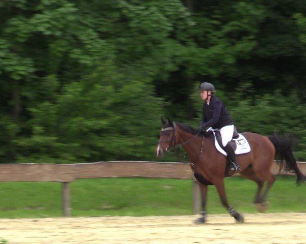 Reitturnier Wesel-Obrighoven 2025
