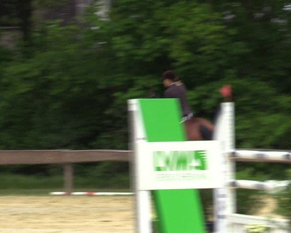 Reitturnier Wesel-Obrighoven 2025