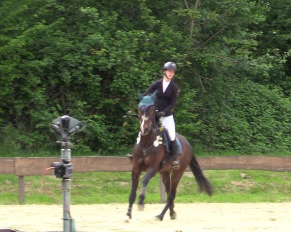 Reitturnier Wesel-Obrighoven 2025