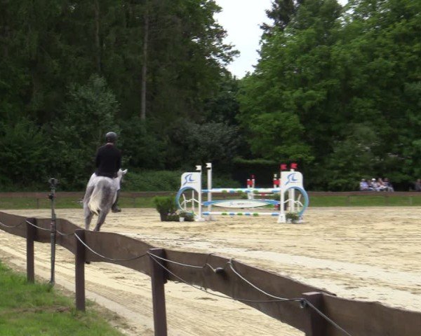 Reitturnier Wesel-Obrighoven 2025