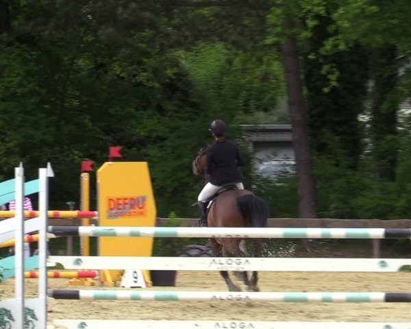Reitturnier Wesel-Obrighoven 2025
