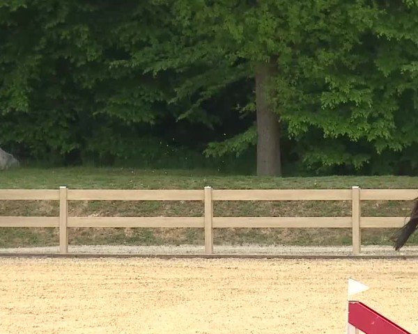 Reitturnier Tiefenhof/Opf. 2025