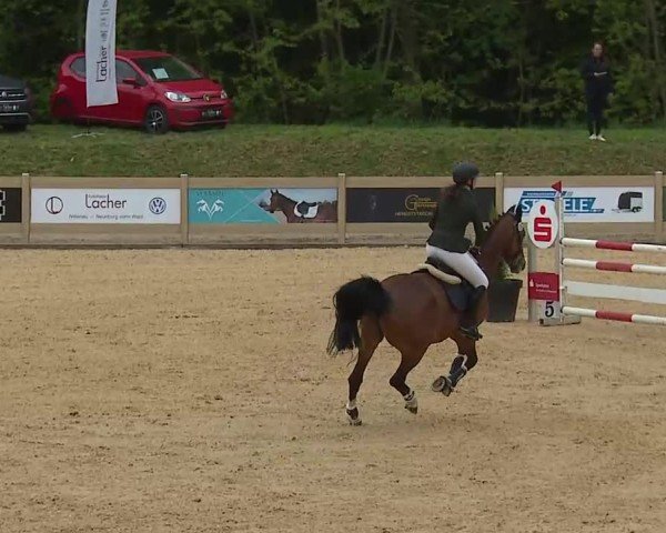 Reitturnier Tiefenhof/Opf. 2025