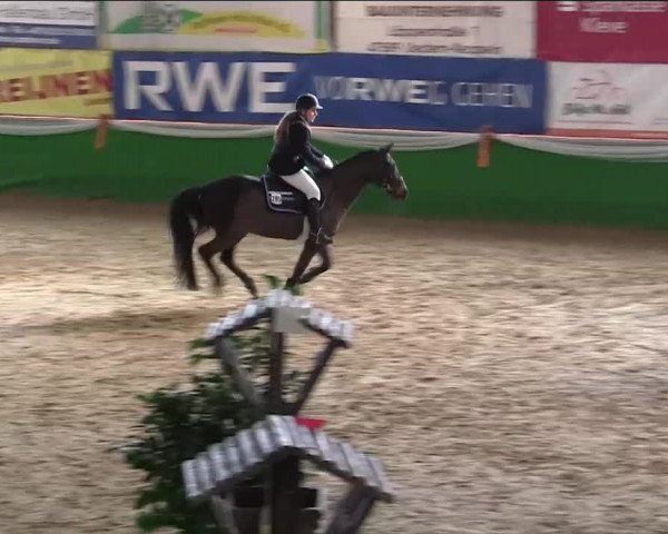 Keppelner Springpferdemeeting 2014