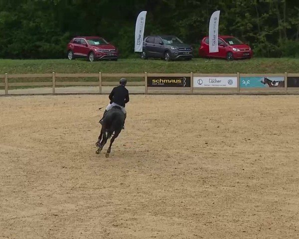 Reitturnier Tiefenhof/Opf. 2025