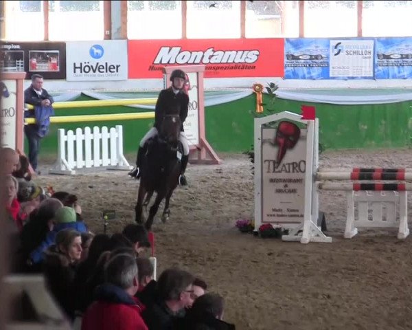 Keppelner Springpferdemeeting 2014