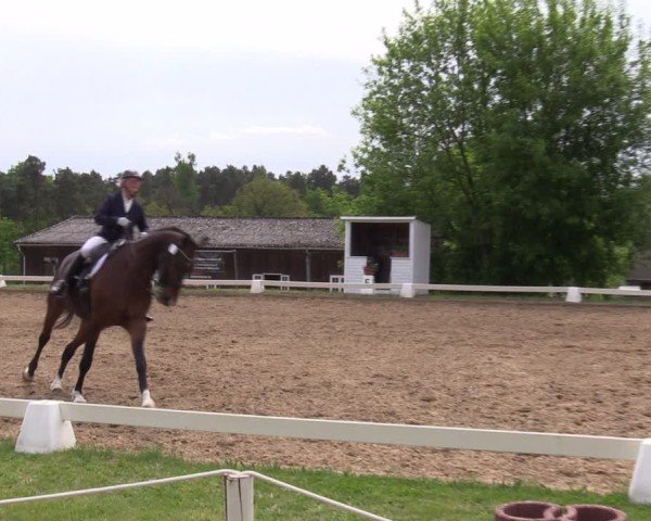Reitturnier Teupitz 2025