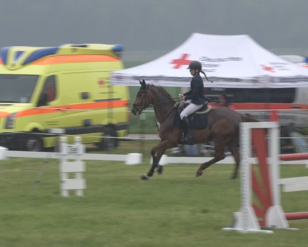 Reitturnier Wehnsdorf 2025