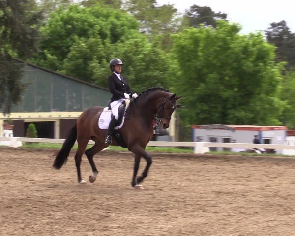 Reitturnier Teupitz 2025