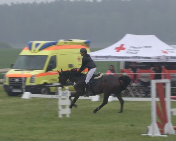 Reitturnier Wehnsdorf 2025