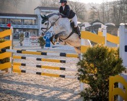 jumper Cashbakk (Holsteiner, 2015, from Clarcon)