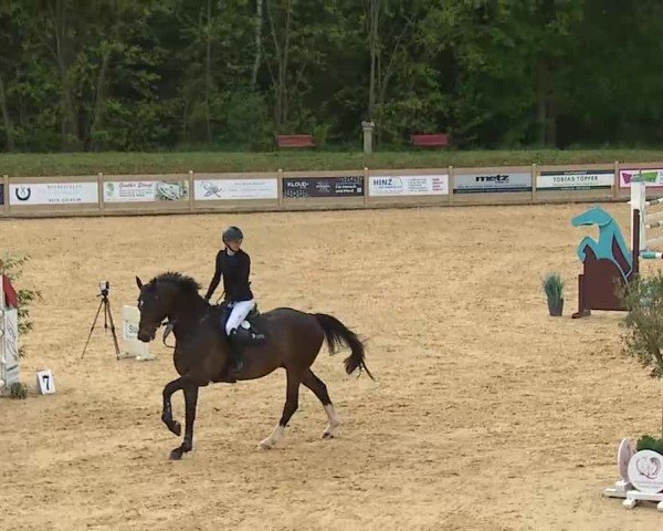 Reitturnier Tiefenhof/Opf. 2025