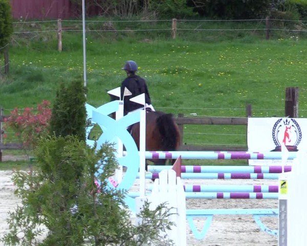 Reitturnier Looperholz 2025