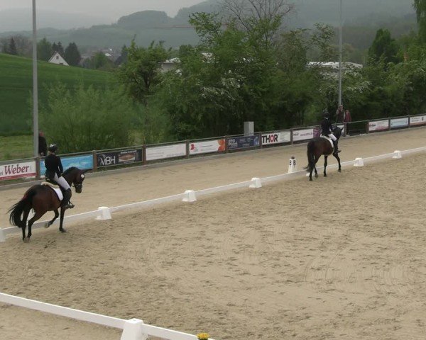 Reitturnier Uder, Reitanlage Kobold 2025