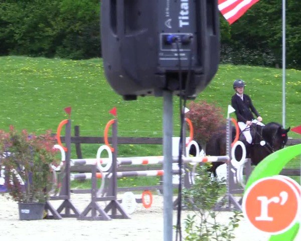 Reitturnier Looperholz 2025