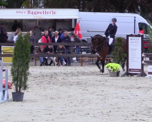 Reitturnier Looperholz 2025