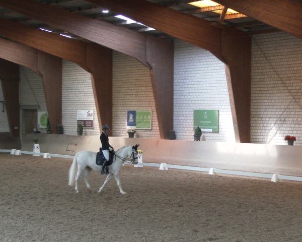 Reitturnier Kamen 2025