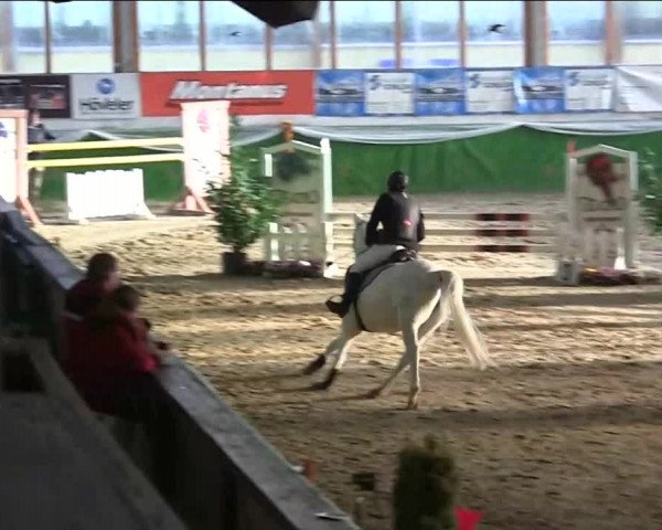 Keppelner Springpferdemeeting 2014