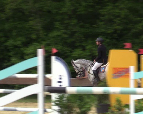 Reitturnier Wesel-Obrighoven 2025
