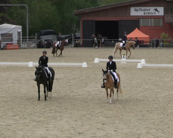 Reitturnier Uder, Reitanlage Kobold 2025