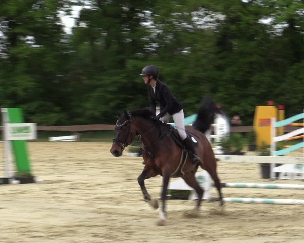 Reitturnier Wesel-Obrighoven 2025