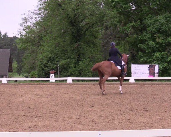 Reitturnier Teupitz 2025