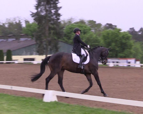 Reitturnier Teupitz 2025