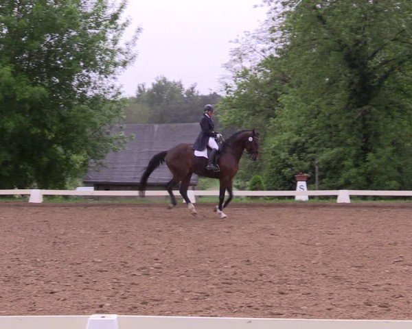 Reitturnier Teupitz 2025