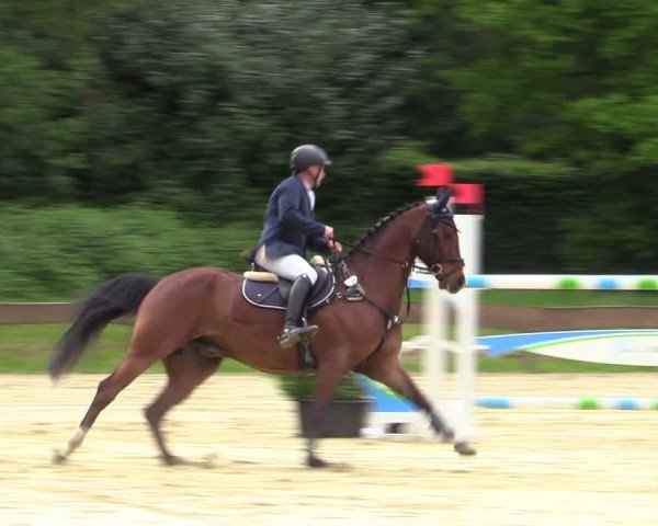Reitturnier Wesel-Obrighoven 2025