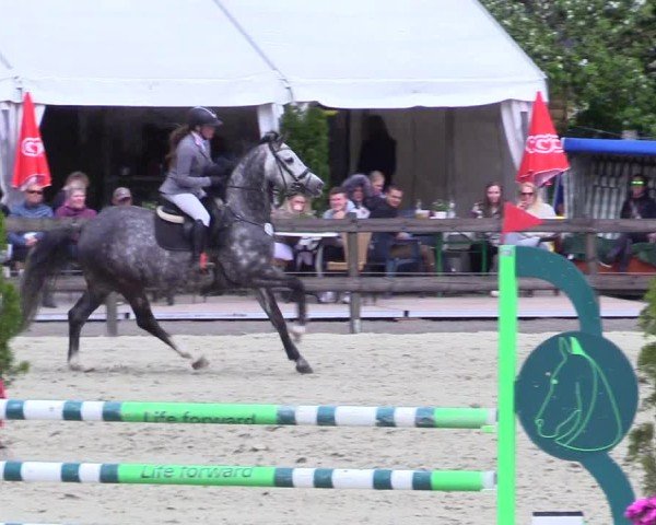 Reitturnier Looperholz 2025