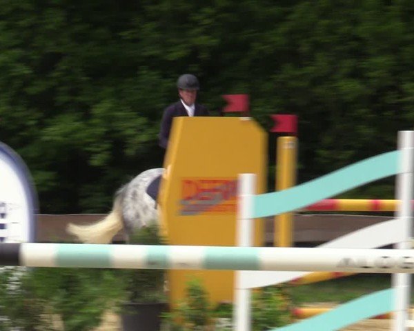Reitturnier Wesel-Obrighoven 2025