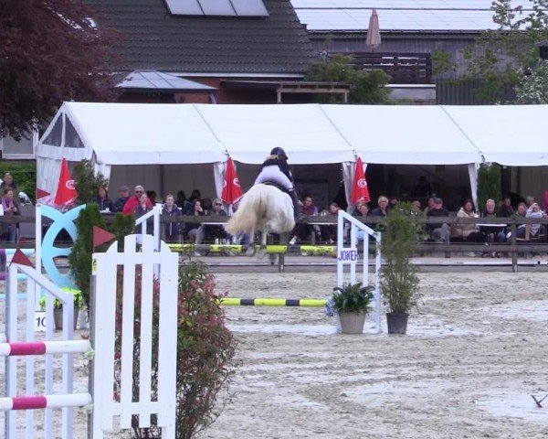 Reitturnier Looperholz 2025