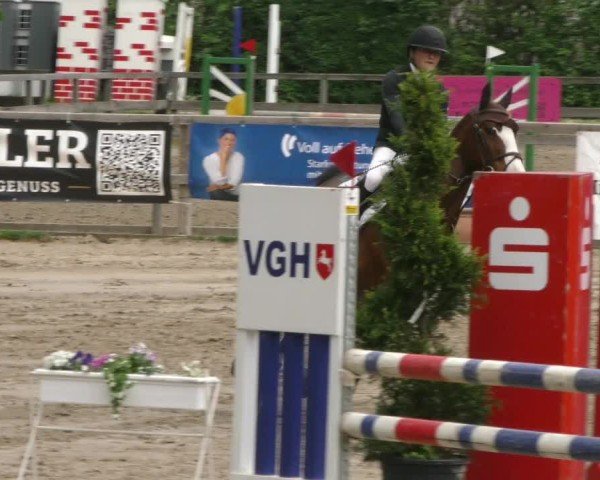 Reitturnier Hildesheim-Steuerwald 2025