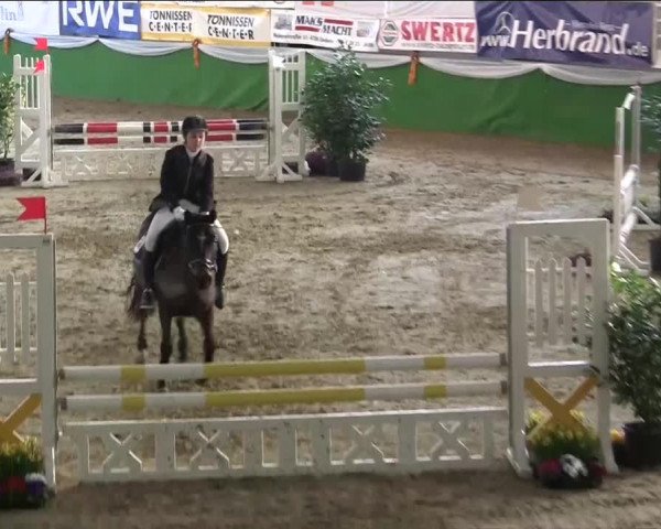 Keppelner Springpferdemeeting 2014