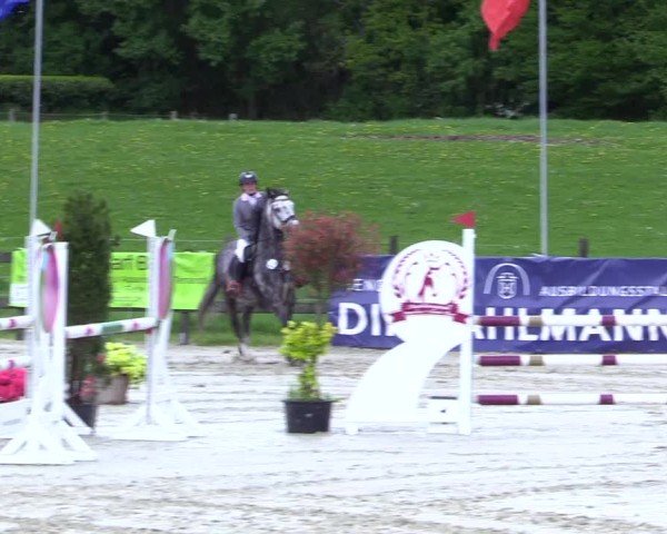 Reitturnier Looperholz 2025