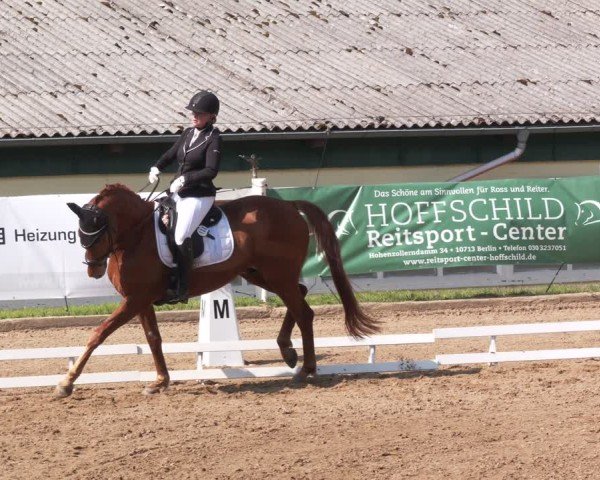 Reitturnier Teupitz 2025